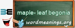 WordMeaning blackboard for maple-leaf begonia